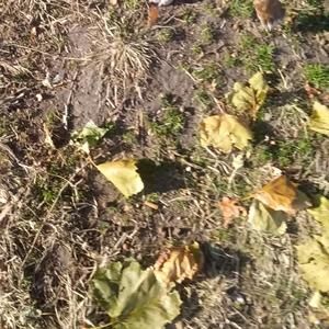 Meet your Posher, Toby